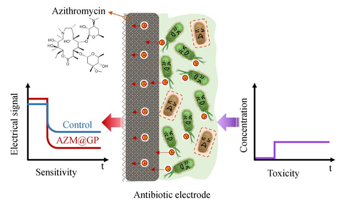 Heimdall in water quality monitoring: A novel antibiotic composite electrode for improving the sensitivity of biosensor