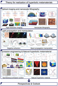 Schematic overview of the review