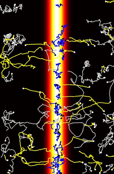 A Marine 'Infochemical,' Crucial to the Air and Sea (2 of 2)