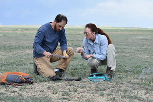 Grasslands research