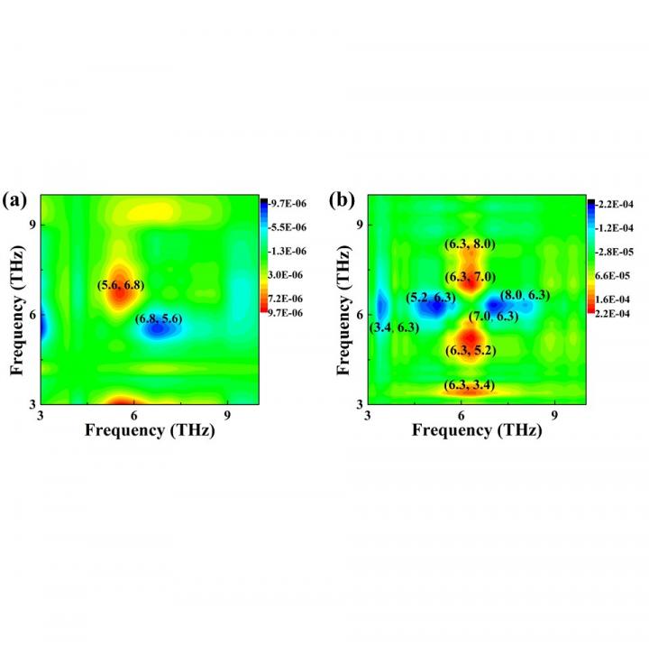 Fig. 1 Terahertz-2DCOS Analysis of PM2.5