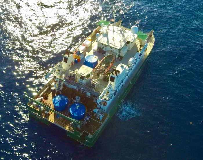 Popular Sport Fish Are Behaviorally Impaired from Exposure to Crude Oil, Study Finds