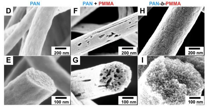 Scanning Electron Microscope