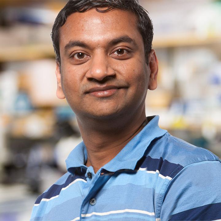 Sreekanth Chalasani, Salk Institute