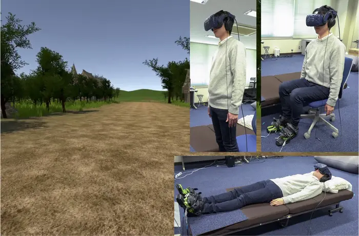 Experimental virtual environment and posture conditions.