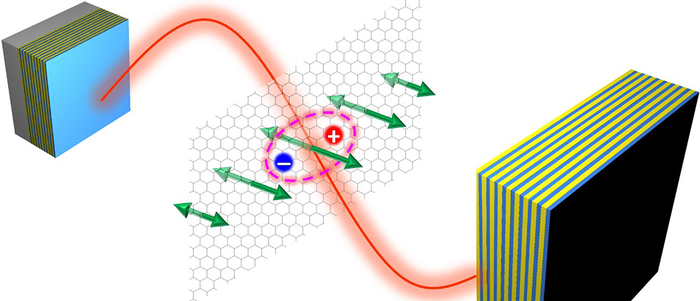 New States in 2D Materials