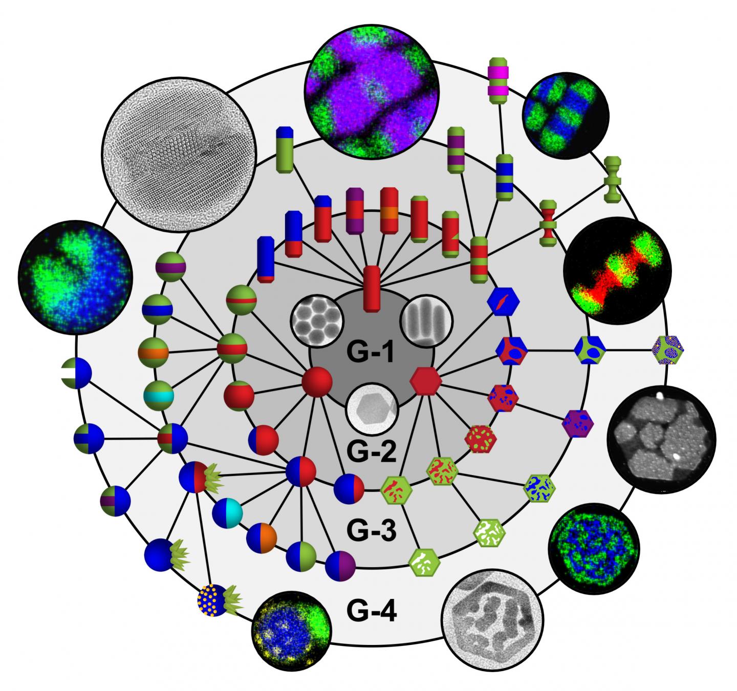 Nanoparticle Toolkit