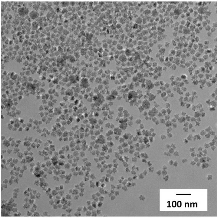 TEM of Dartmouth's Flower-Like Magnetic Nanoparticles