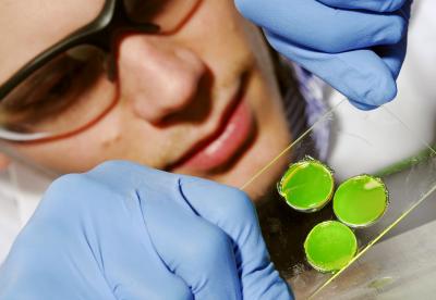 Ed Phelps, Georgia Tech