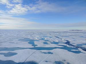 Arctic sea ice