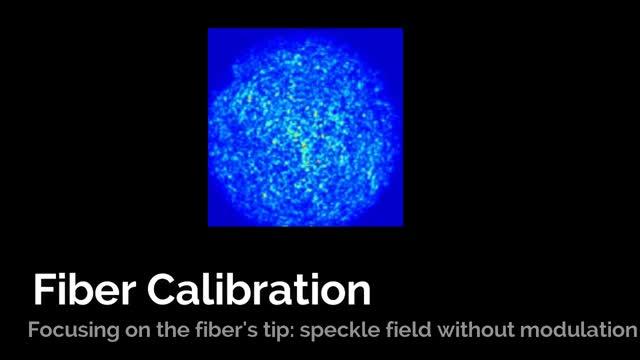 Optical Fiber Microendoscope