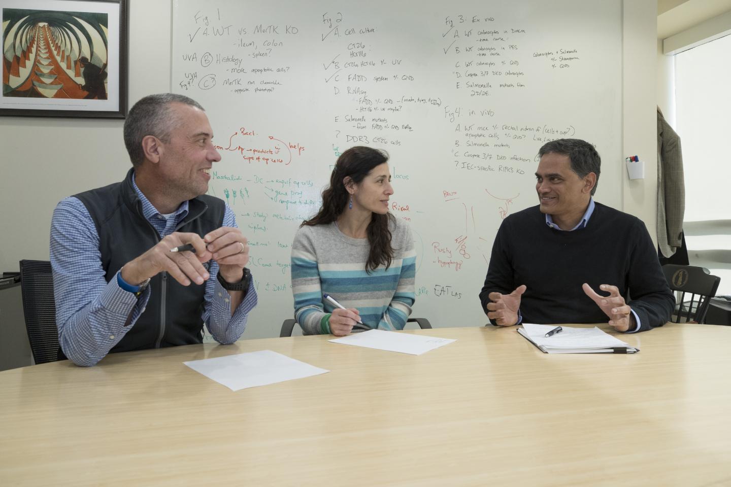 Fertilization Discovery Set to Help Couples Struggling with Infertility