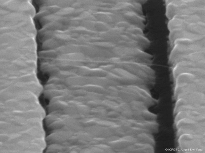 Carbon Nanotube Resonator Clamped between Two Electrodes