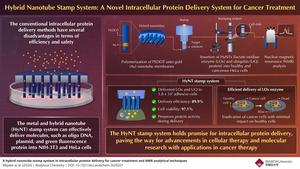 PEDOT/Au HyNT stamp system for intracellular protein delivery