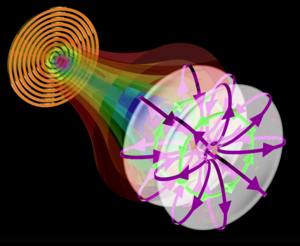 A toroidal light pulse, as a complex nonseparable state of space, time (frequency), and polarization, is generated from a metamaterial.