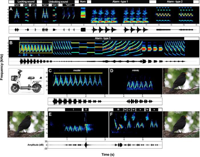 Example spectrograms showing the electric moped sounds and the imitations produced by Chinese Blackbirds.