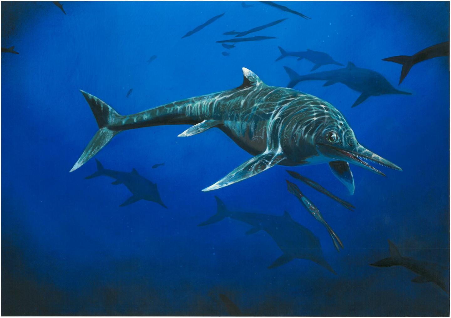 Life Reconstruction of <i>Wahlisaurus massarae</i>