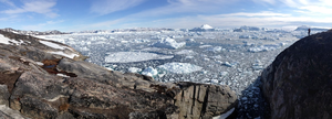 un recul et une perte généralisés des glaciers de marée dans l'hémisphère Nord