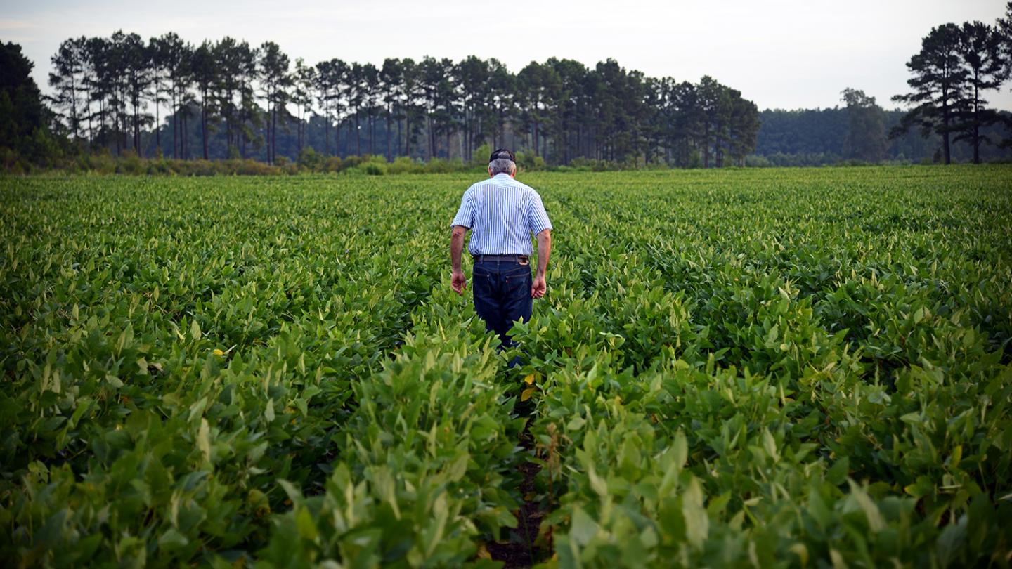 Pesticide Resistance Needs Large-Scale Study