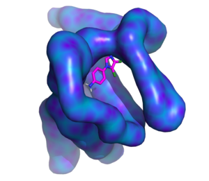 Cryptic drug-binding sites discovered in the dance