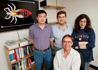 University of Illinois Entomologists