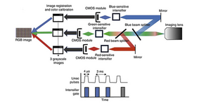 A three-channel camera separates Cherenkov emissions into red, green, and blue channels, allowing the investigation of the impact of variations in melanin and blood levels on the signal.