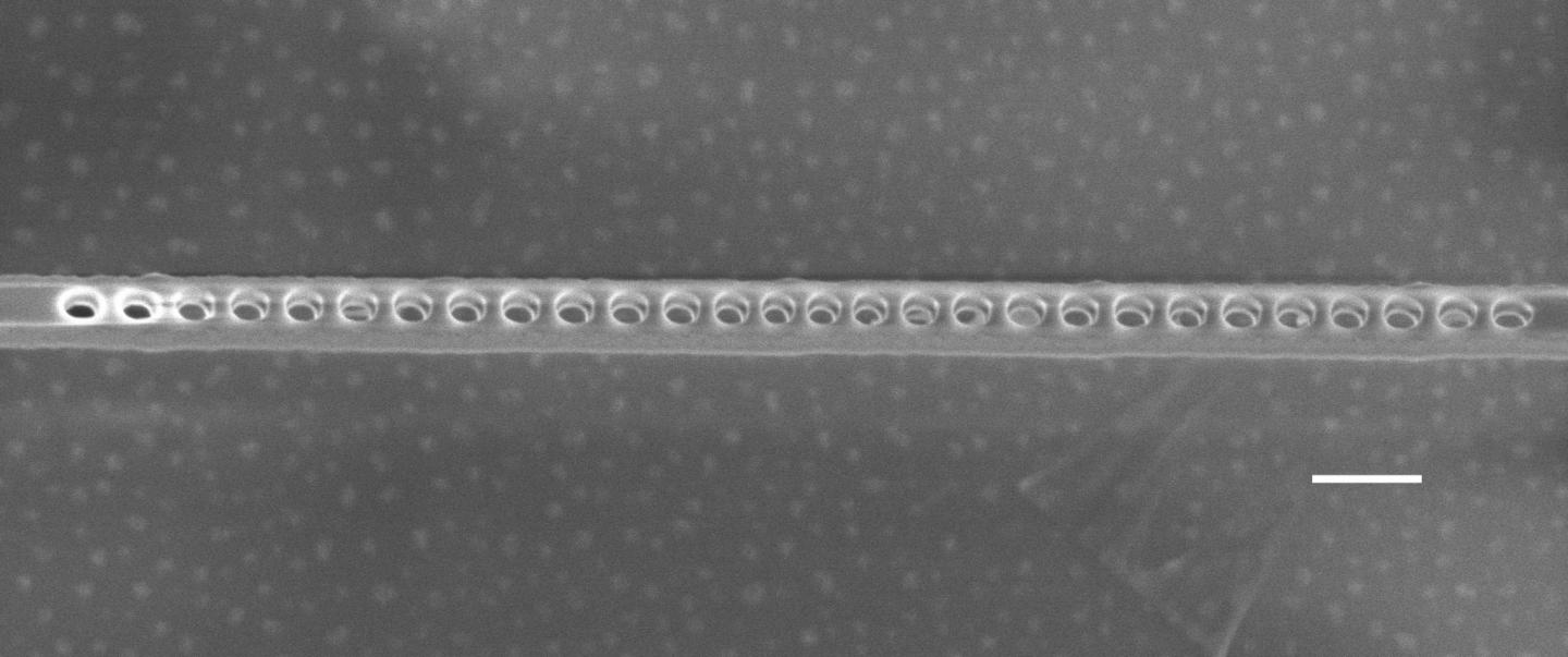 A Scanning Electron Microscope Image of the Diamond Photonic Cavity