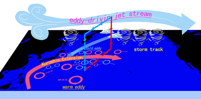 The response of atmospheric circulation to mesoscale SST anomaly