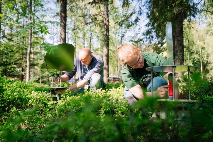 Laboratory technicians collect fungal spores from the air