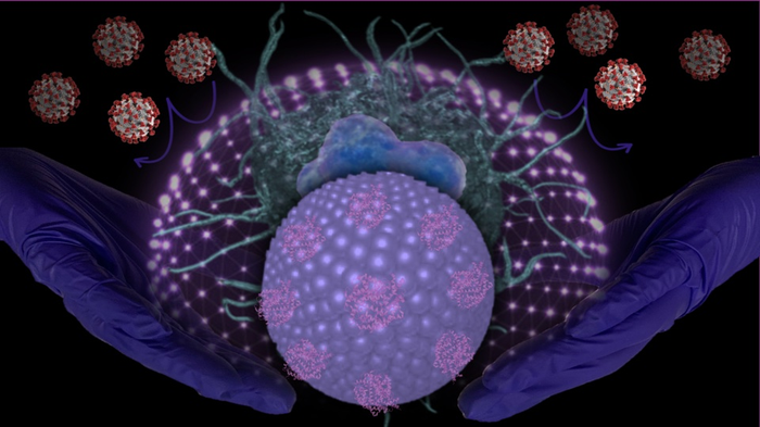 Nanoparticles and SARS-CoV-2