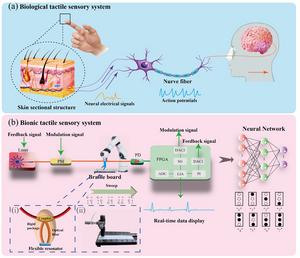 Biologic and bionic tactile sensory systems