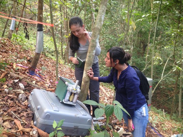 Measuring Leaf Photosynthesis