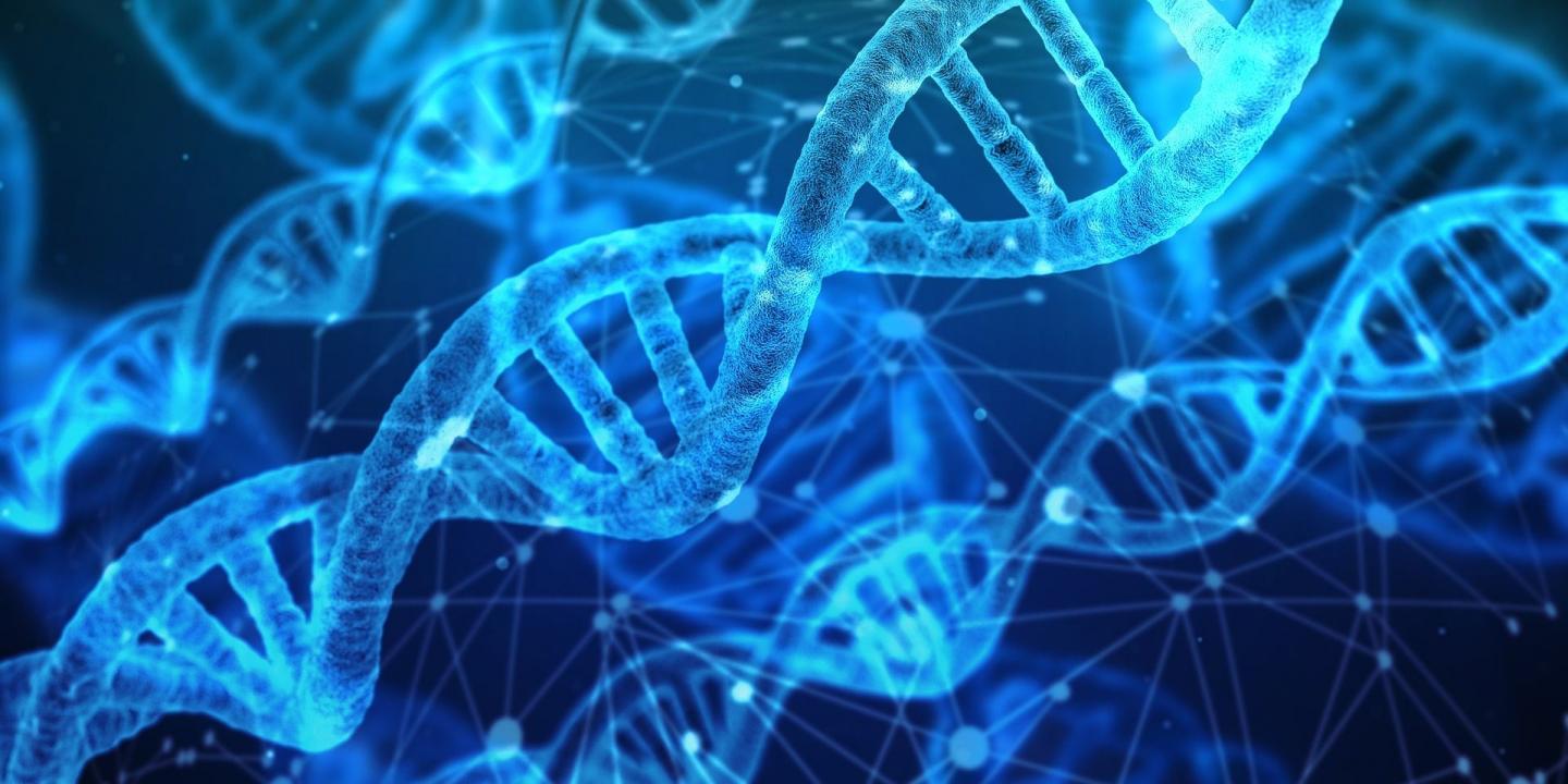 Treating Diseases and 'Improving' Genetic Material