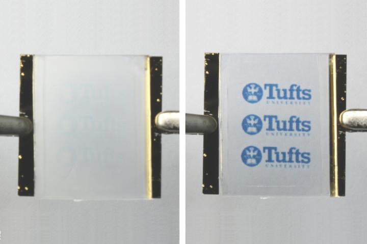 Electricity Responsive Dynamic Wrinkling System