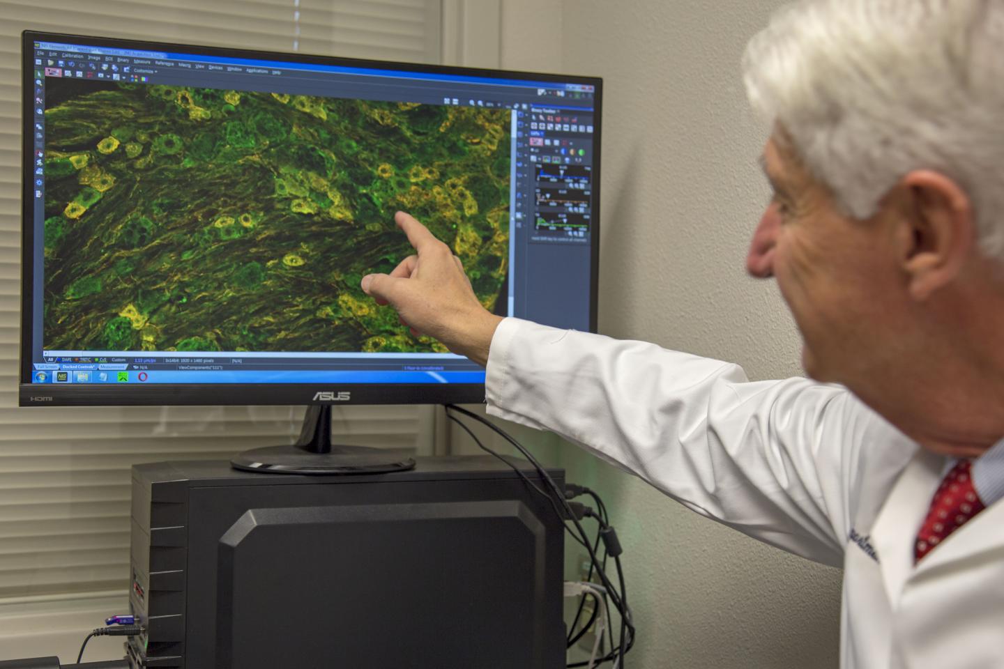 Frank Porreca, Ph.D.