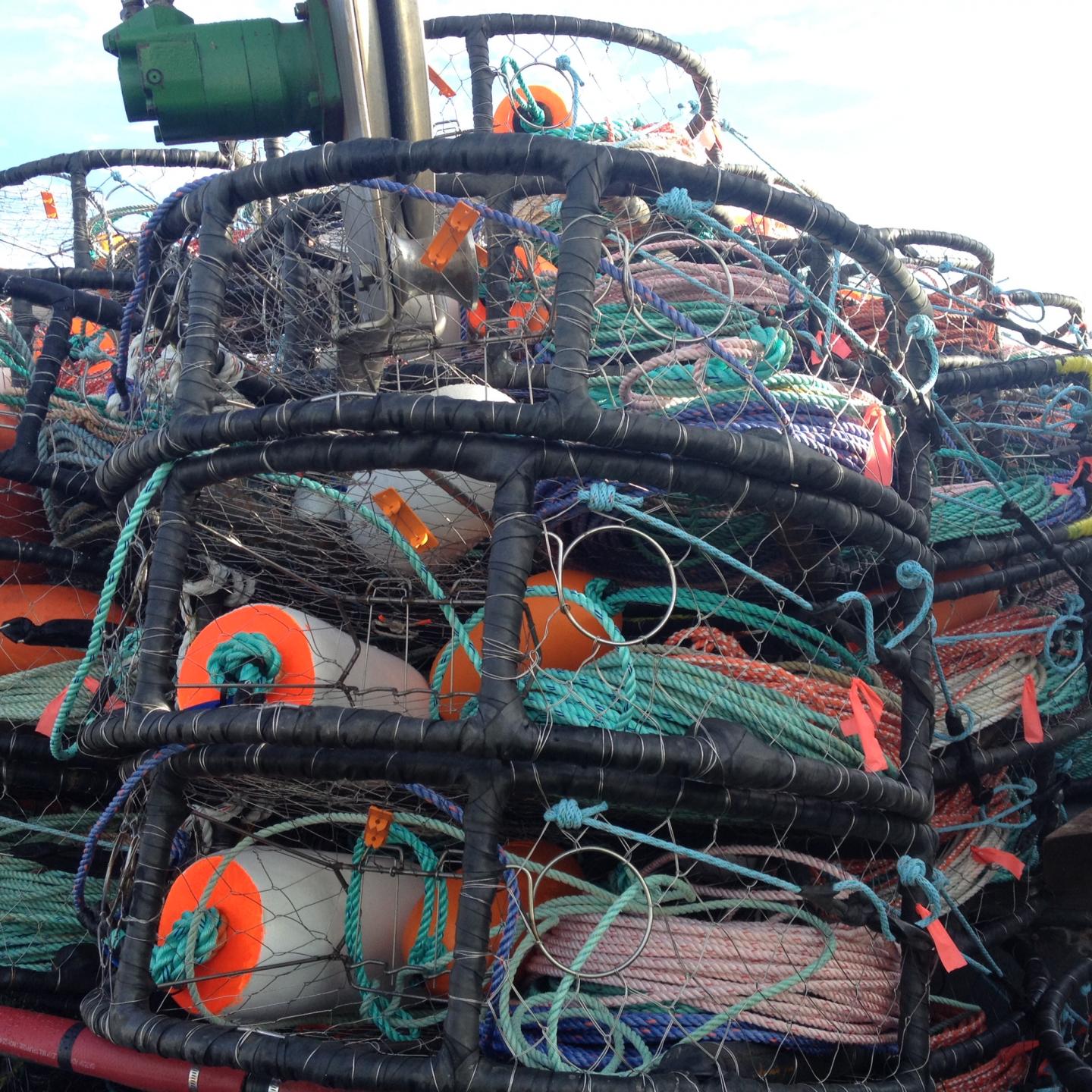 Crab Pots