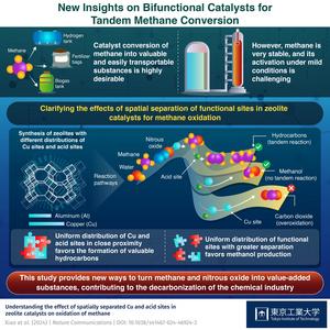 New Insights on Bifunctional Catalysts for Tandem Methane Conversion