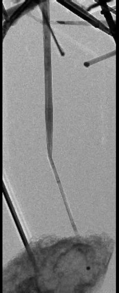 Silicon Germanium Nanowire