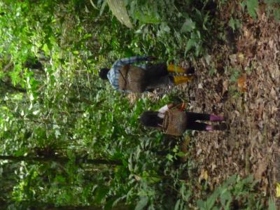Shuar Girl Foraging with Her Father