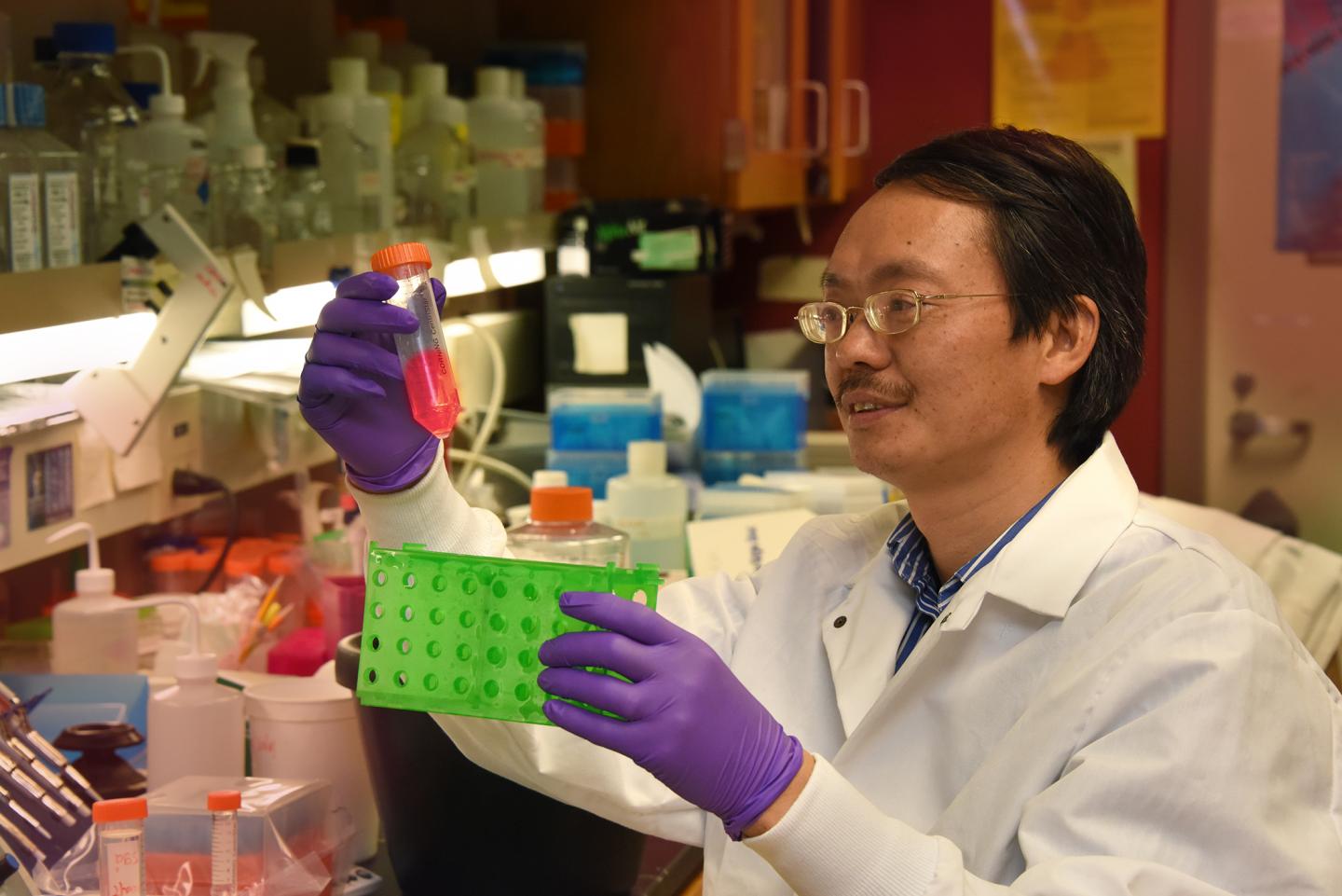 Dr. Zheng Dong, Medical College of Georgia at Augusta University