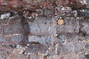 Ironstones are sedimentary rocks deposited along coastlines