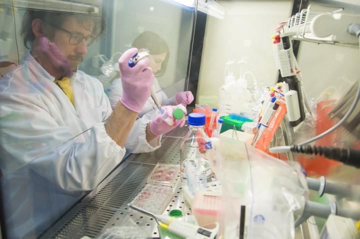FEFU lab for DNA diagnostics