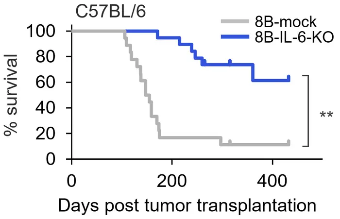 Interleukin-6 is key to cancer stem cells' effects