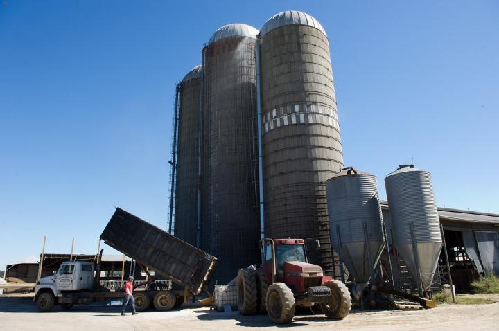 Dairy Farm