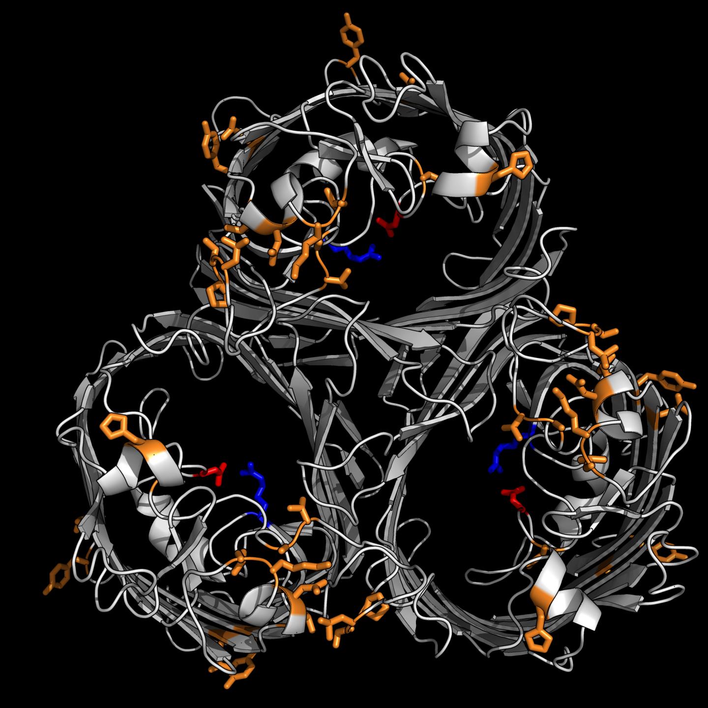 Protein Structure