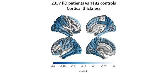 brain tissue damage patterns