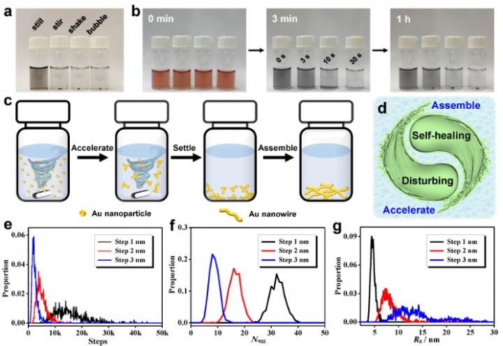 Ultrafast Gel Fabrication