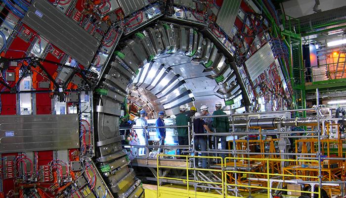CMS Setector at the Large Hadron Collider