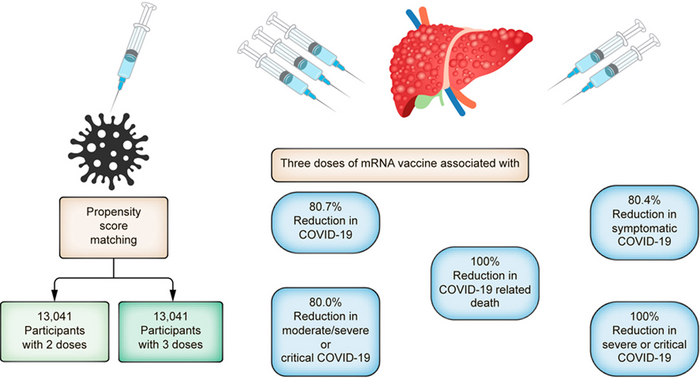 Comparison between three versus two doses of mRNA COVID-19 vaccines and COVID-19 and severity in patients with cirrhosis