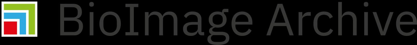 BioImage Archive logo